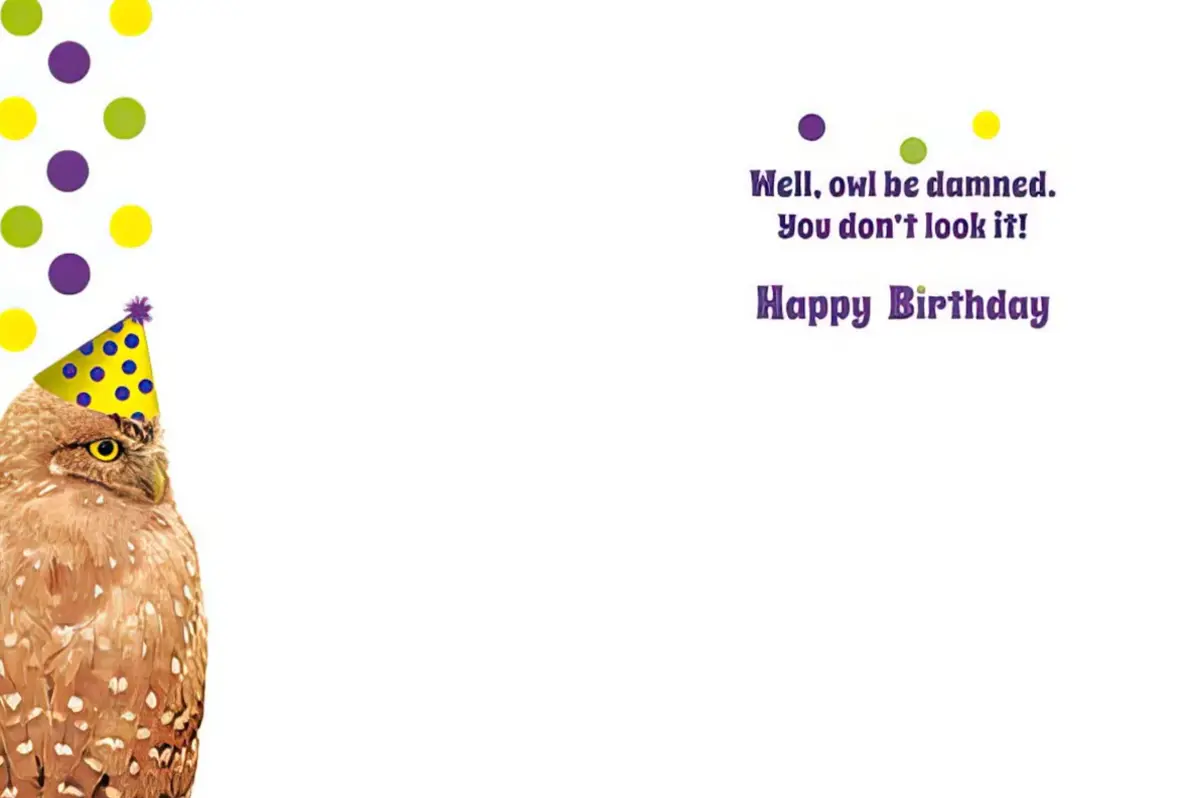 Funny Owl Birthday Card 2