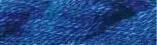 Waterlilies- Blueberry 041 1