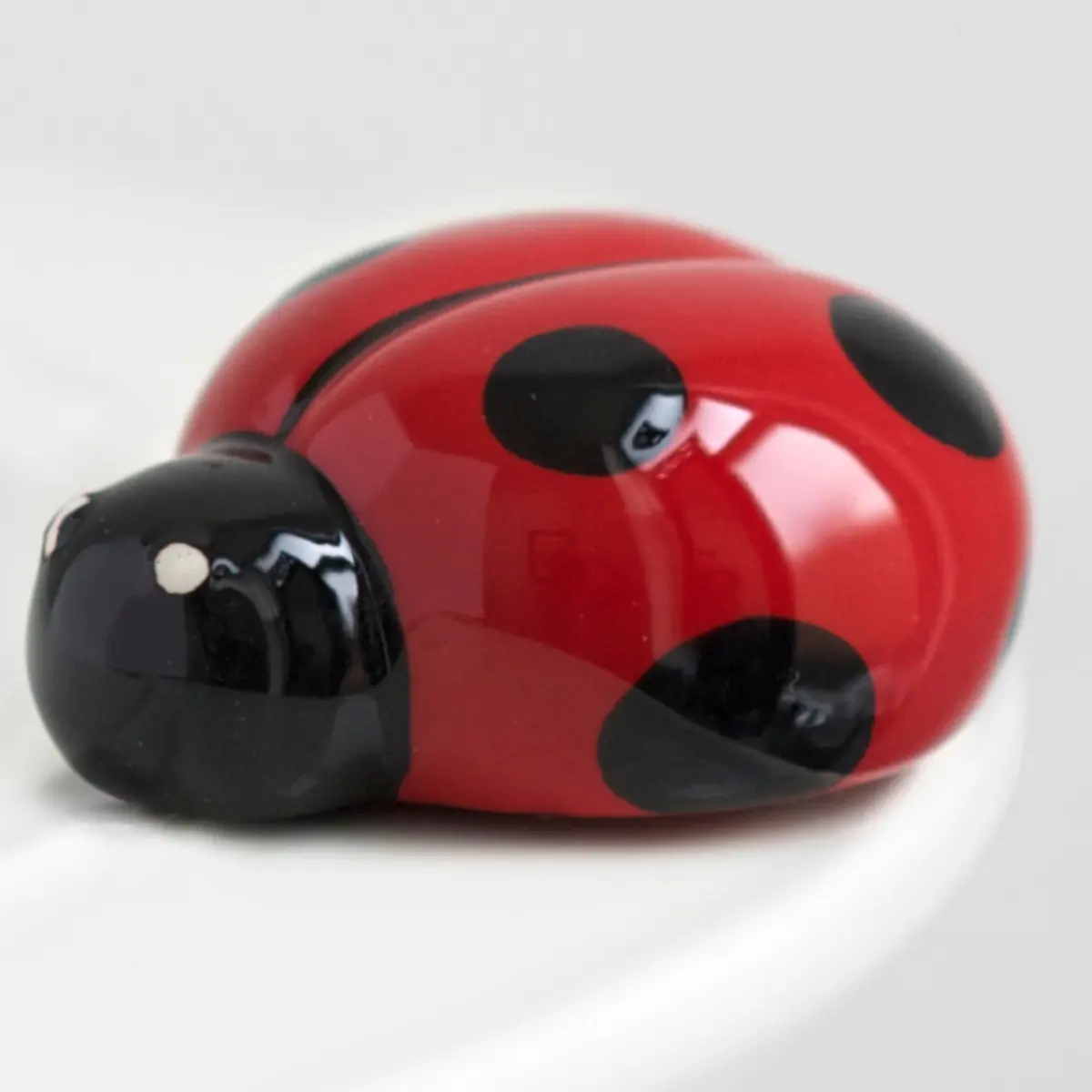Lil Ladybug Mini 1