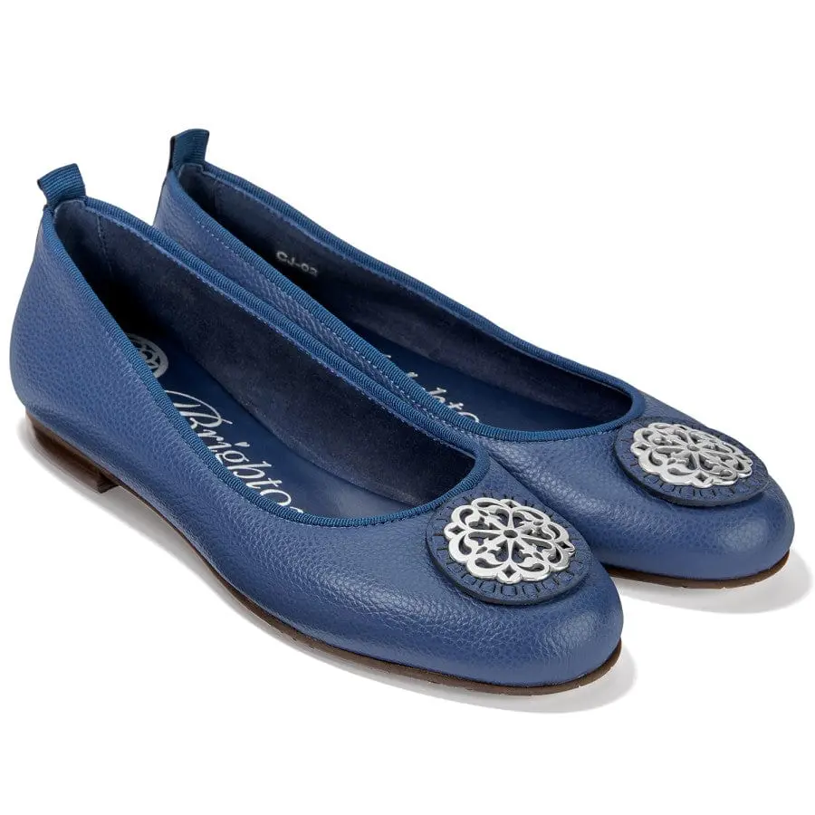 Elegant Aleta Ballet Flats