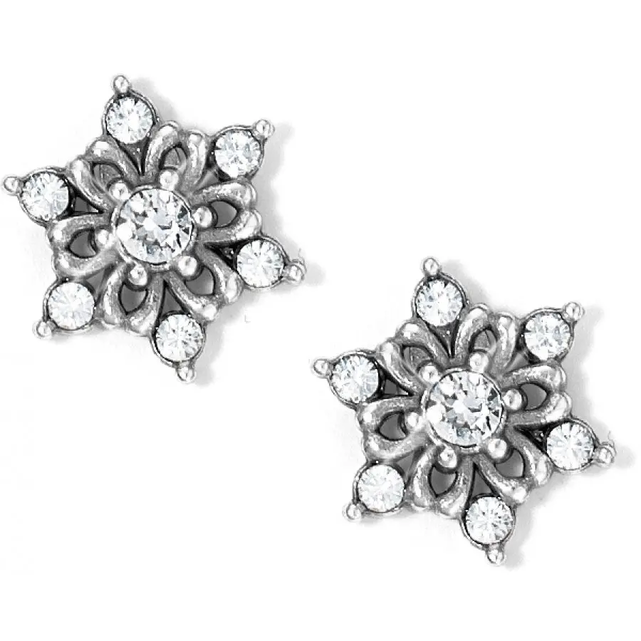 Arctica Mini Post Earrings 1