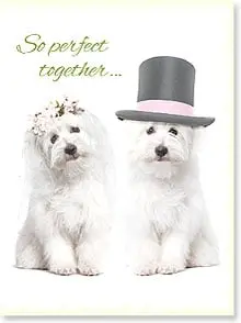 Wedding Card | Dog Pair 1