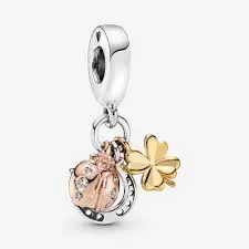 Horseshoe Clover & Ladybird Charm 1