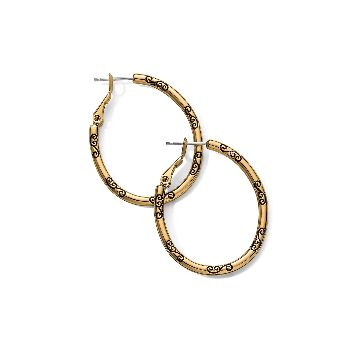 Oval Hoop Charm Earrings 1