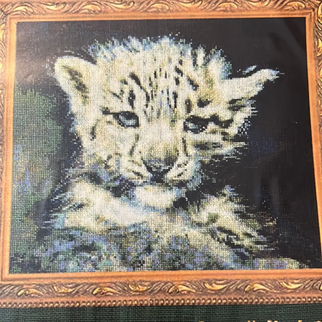 Baby Snow Leopard 1