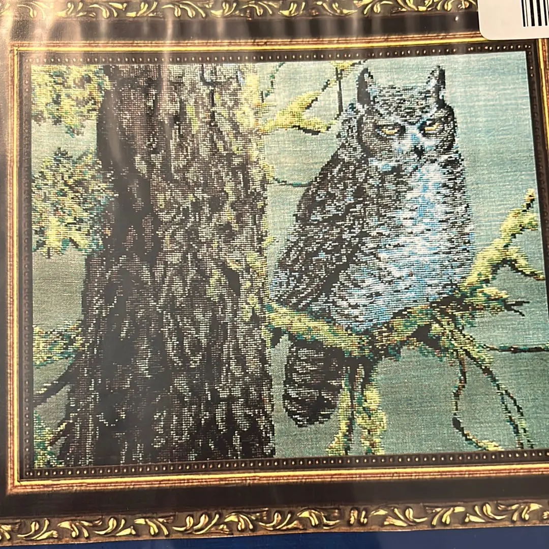 Great Horned Owl 1