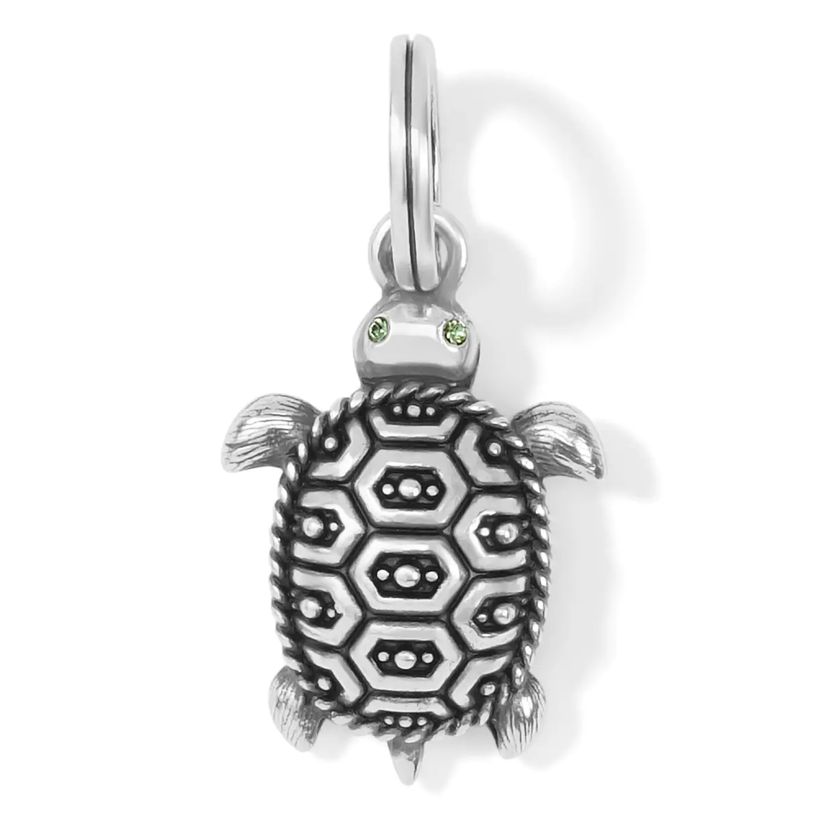 Pismo Turtle Charm 1