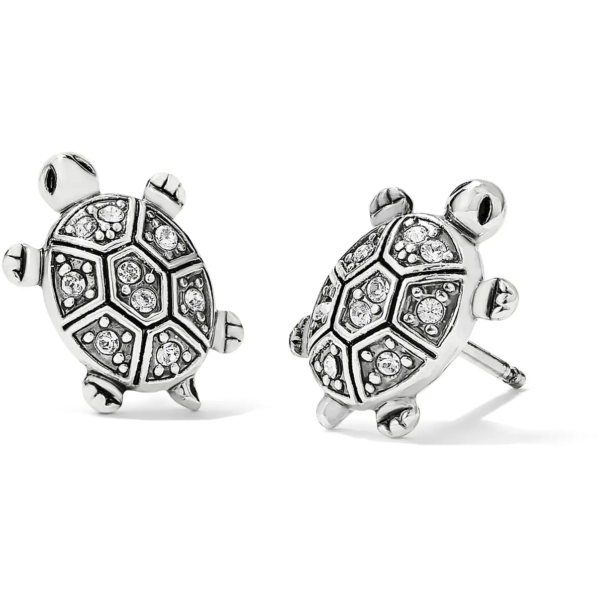 Fortune Turtles Mini Post 1
