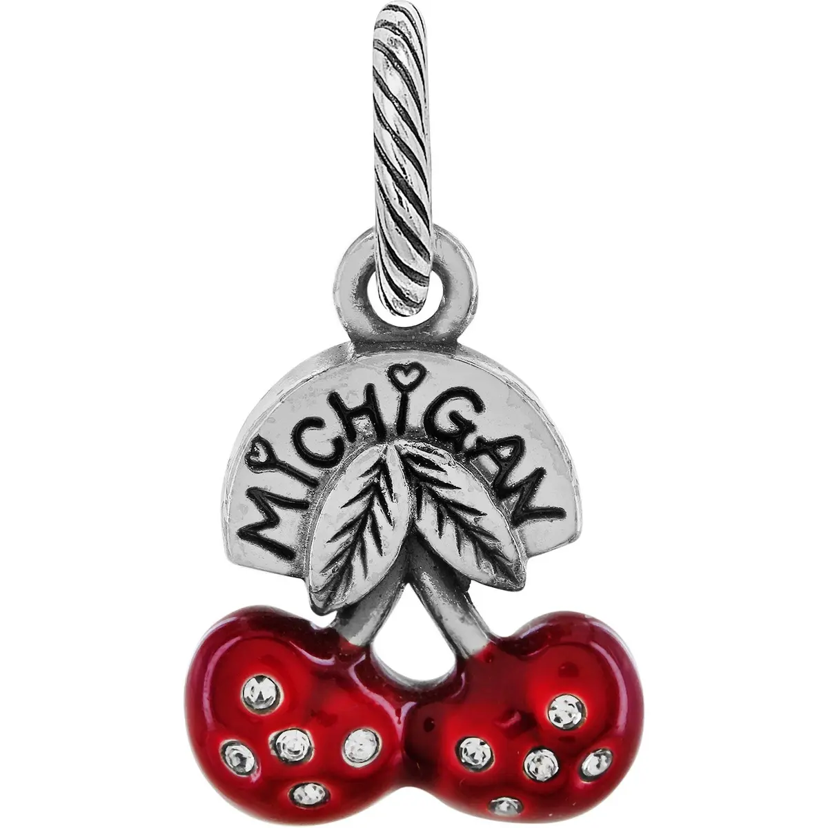 Michigan State Charm 1