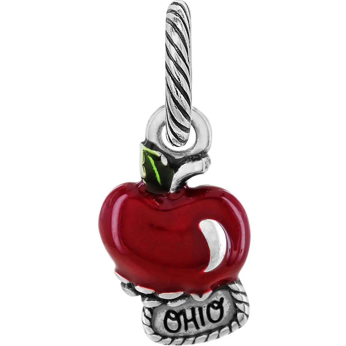 Ohio State Charm 1