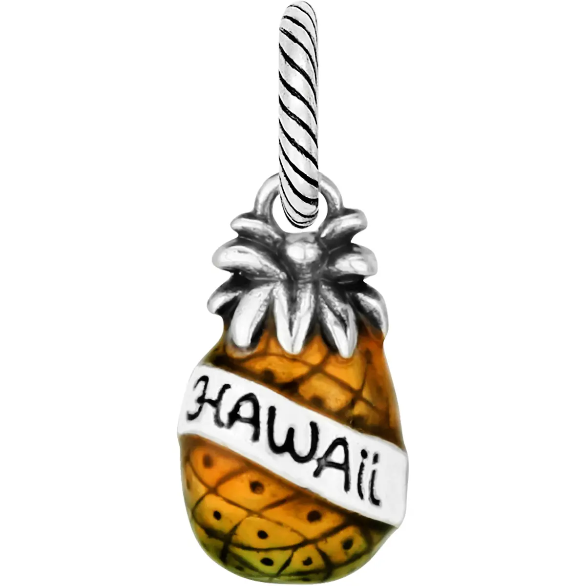 Hawaii State Charm 1