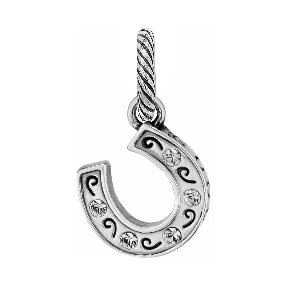 Lucky Horseshoe Charm 1