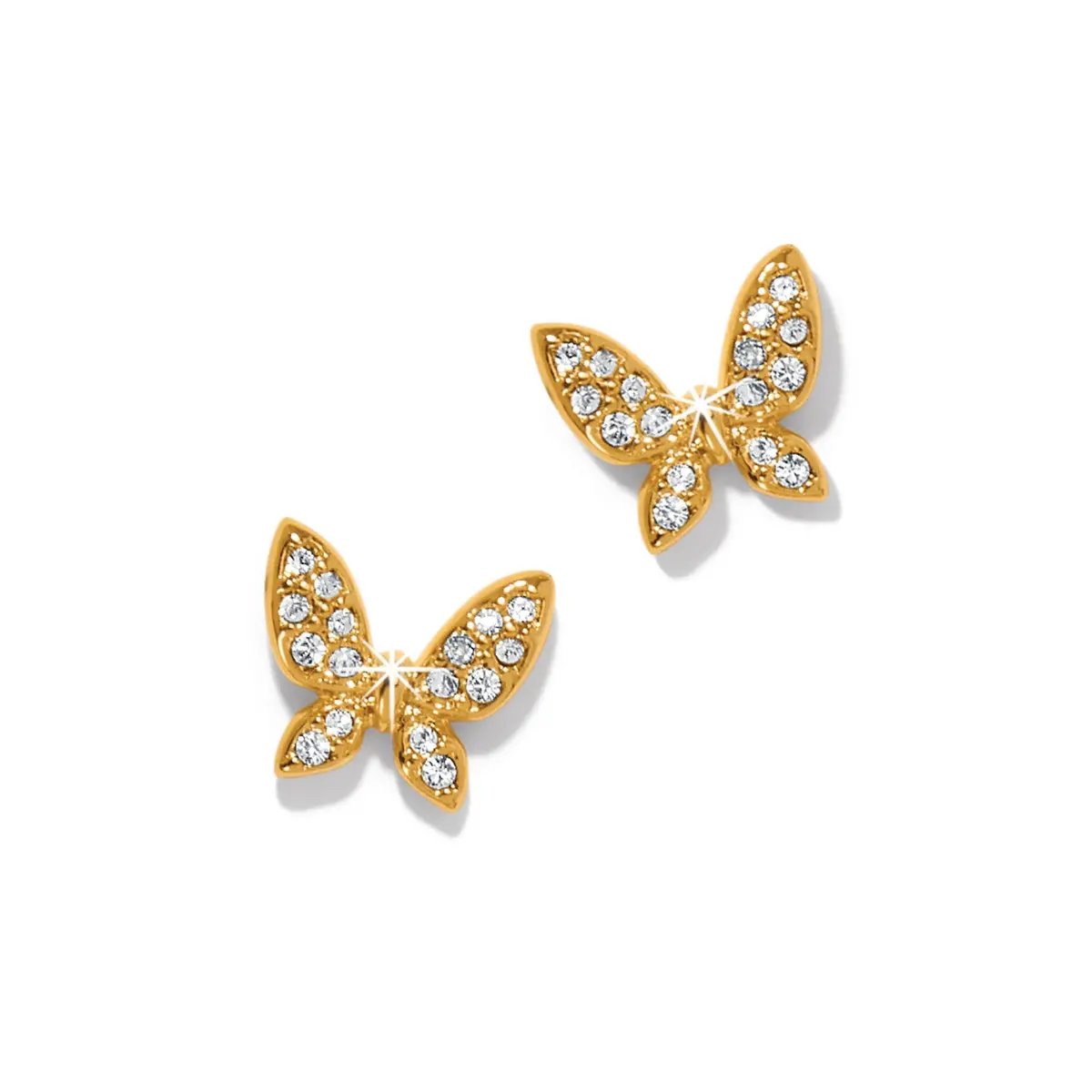 Enchanting Butterfly Post Earrings 1