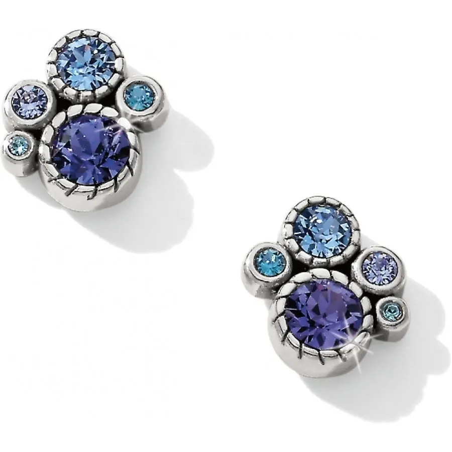 Halo Post Earrings 1