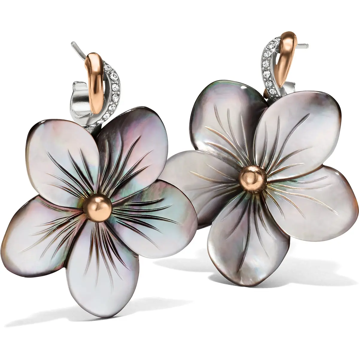Neptune's Rings Shell Flower Earrings 1