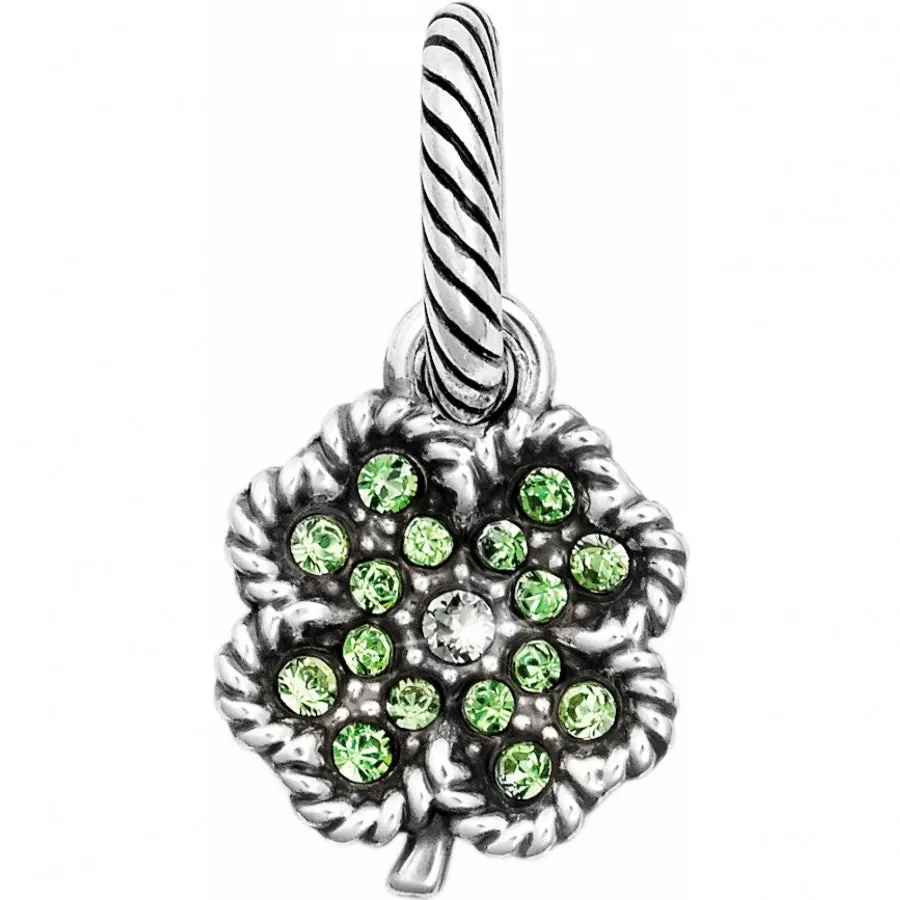 Scoop Of Luck Charm 1