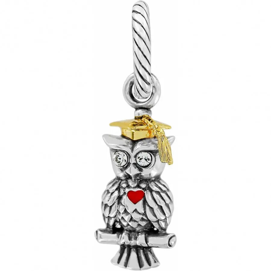Graduate Owl Charm 1