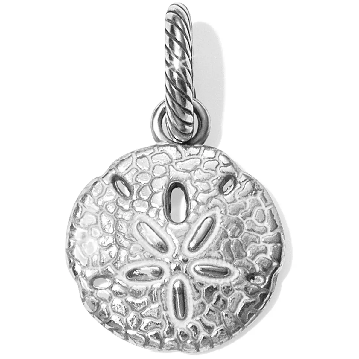 Sunny Sand Dollar Charm 1