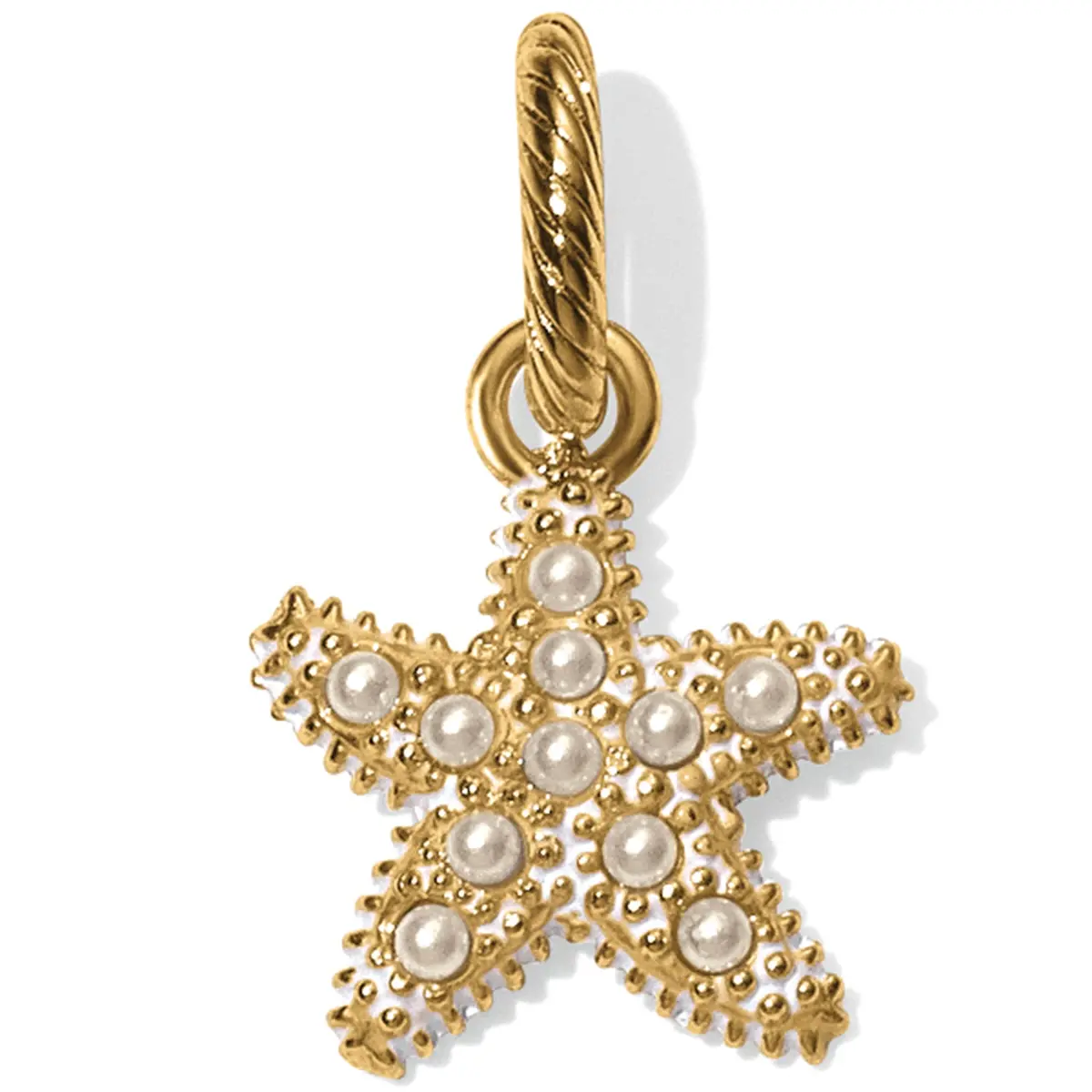 Beach Star Charm 1