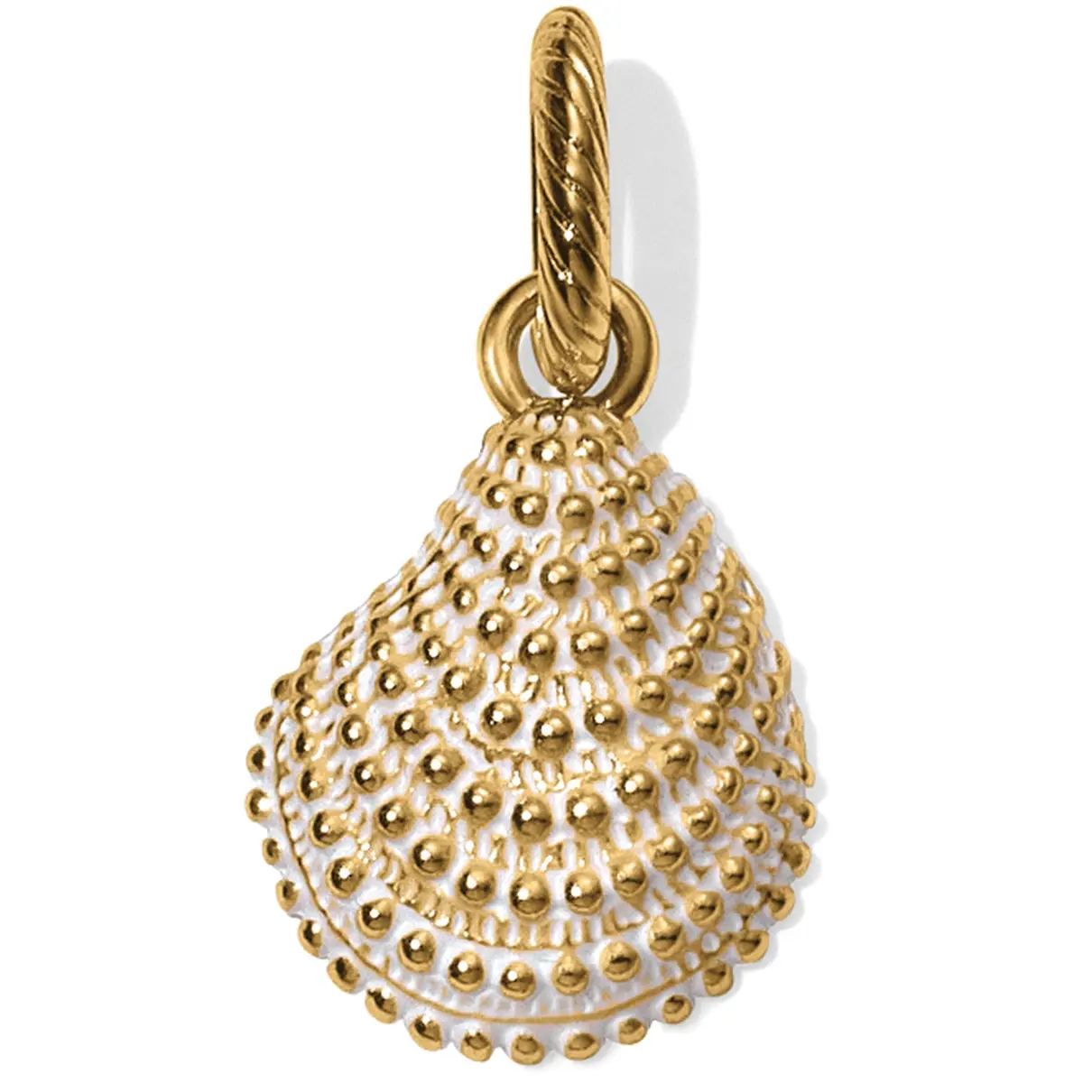 Sassy Shell Charm 1