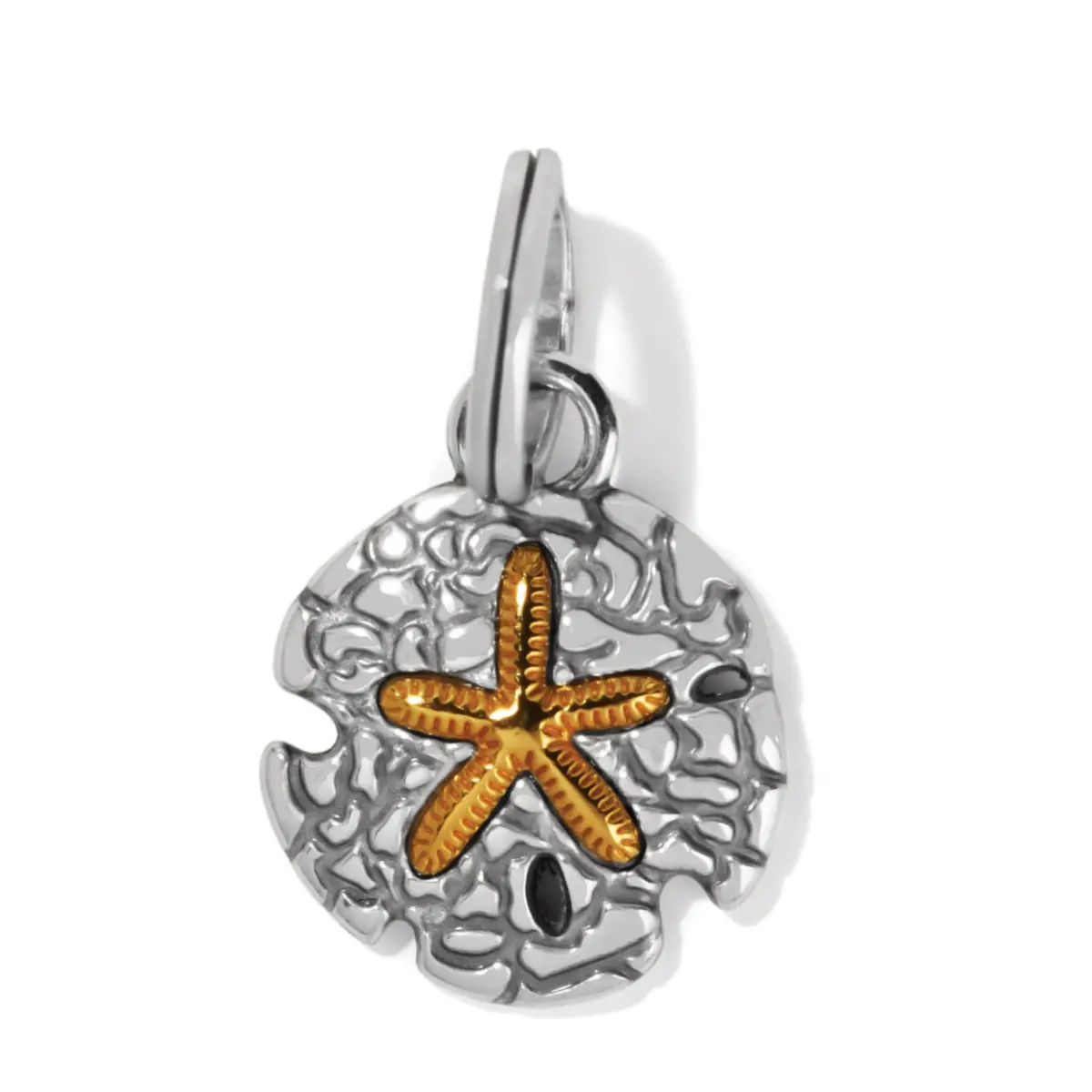 Sunset Cove Sand Dollar Charm 1