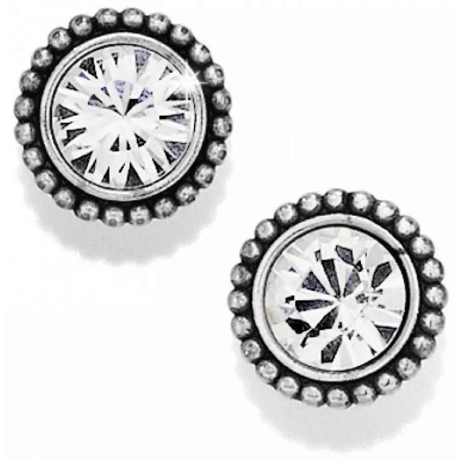 Twinkle Large Post Earrings 1