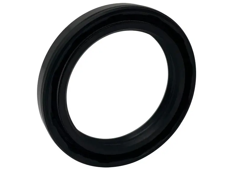 Fruitland Pump Oil Seal Rf500-62A 1