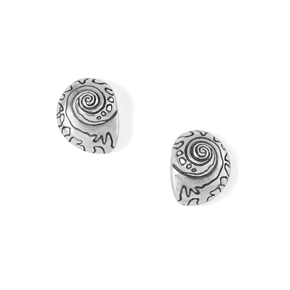 Shells Post Earrings 1