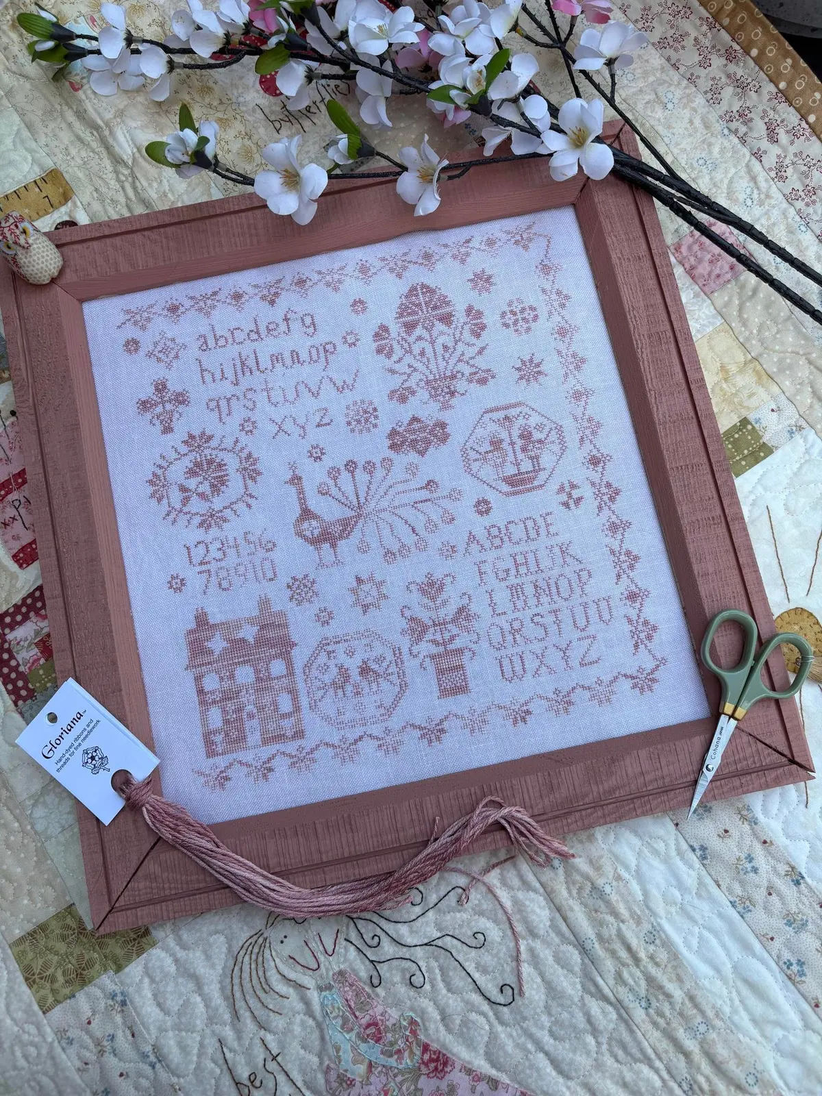 Pink Peacock Sampler 1