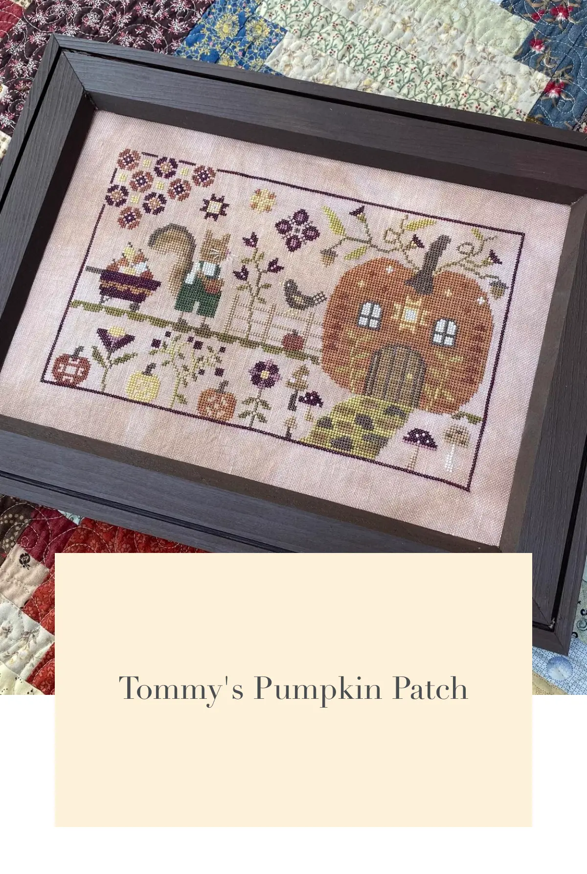 Tommy's Pumpkin Patch 1